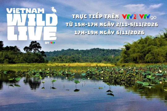 Vietnam Wild Live mùa 2: Trực tiếp khám phá đời sống động vật tại Vườn Quốc gia Cát Tiên