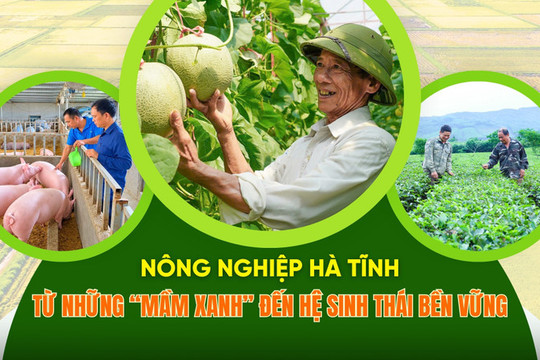 Nông nghiệp Hà Tĩnh (bài 2): Hành trình chuyển đổi còn nhiều thử thách