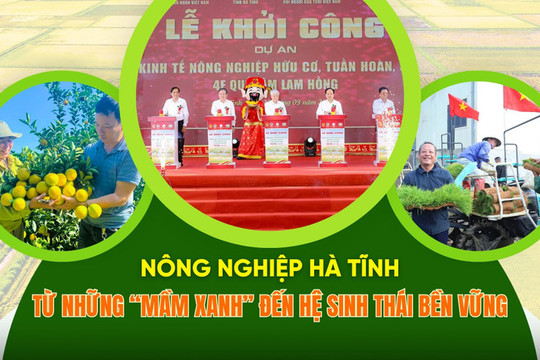 Nông nghiệp Hà Tĩnh (bài cuối): Kiến tạo động lực, nâng cao giá trị gia tăng