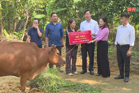 Hương Đô đồng hành cùng người nghèo vượt khó