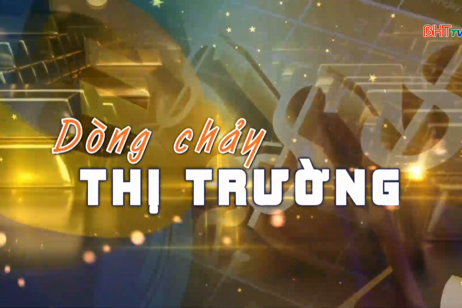 Thị trường giống cây lâm nghiệp “nóng” trong mùa trồng rừng