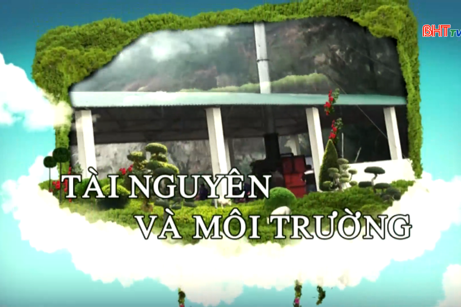 Hà Tĩnh tăng tốc trồng rừng, khôi phục sinh kế cho người dân