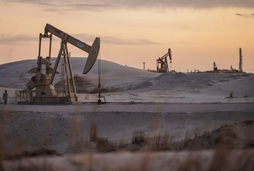 Sản lượng dầu thô Mỹ giảm xuống 13,78 triệu thùng/ngày trong tháng 11/2025