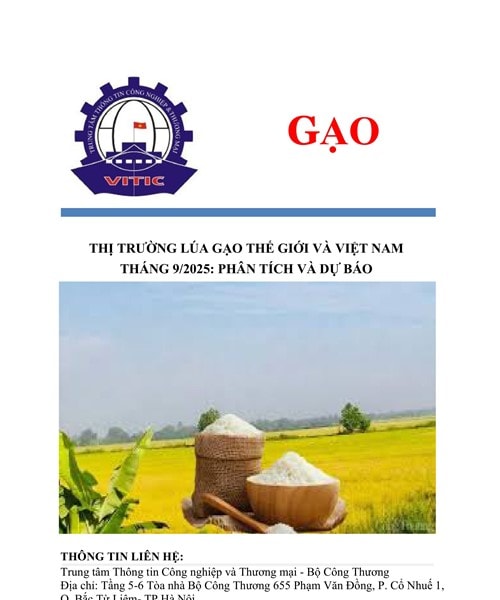 Giá gạo thế giới tháng 9/2025 có xu hướng giảm, thị trường xuất khẩu Việt Nam ổn định