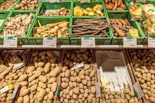 Giá khoai tây EU giảm 22%, nông dân đối mặt khủng hoảng dư thừa 3 triệu tấn