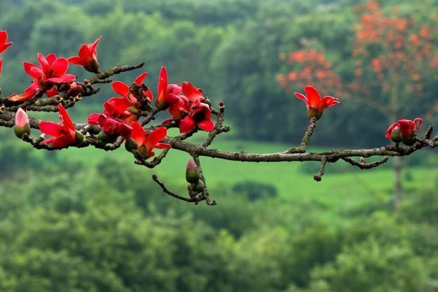 Văn nghệ thiếu nhi: Tháng ba tươi đẹp