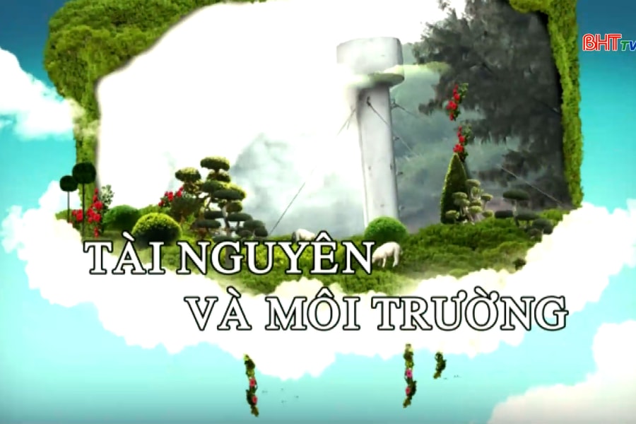 Tái thả động vật hoang dã: Hành động nhỏ, ý nghĩa lớn