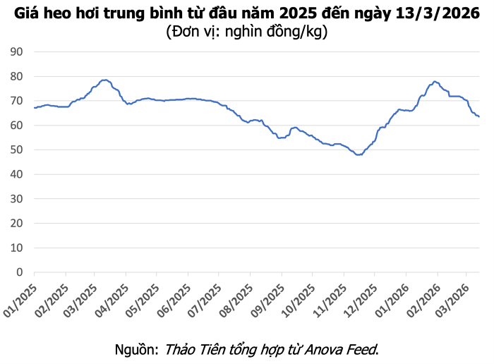 Giá heo hơi hôm nay 13/3: Miền Bắc tăng nhẹ, miền Nam giảm đến 2.000 đồng/kg