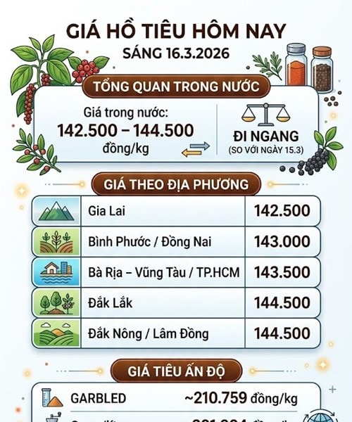 Giá hồ tiêu ngày 16/3/2026: Giá nội địa giảm 2.000 đồng/kg, Thái Lan tăng nhập khẩu từ Việt Nam