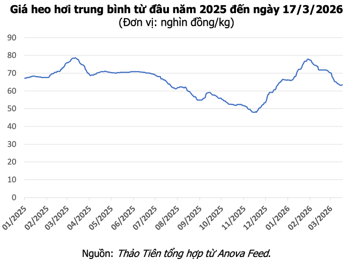 Giá heo hơi hôm nay 17/3: Miền Bắc tăng 2.000 đồng/kg, miền Nam đạt 66.000 đồng/kg