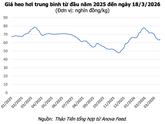 Giá heo hơi hôm nay 18/3: Tăng đồng loạt cả ba miền, cao nhất 67.000 đồng/kg