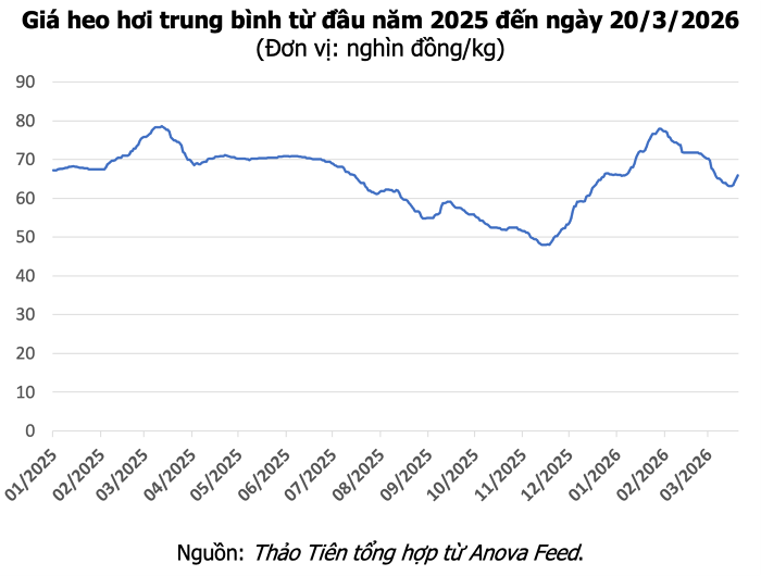 Giá heo hơi hôm nay 20/3: Nhiều địa phương miền Nam đạt mốc 68.000 đồng/kg