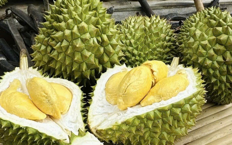 Giá sầu riêng hôm nay 23/3/2026: Sầu Thái tăng mạnh