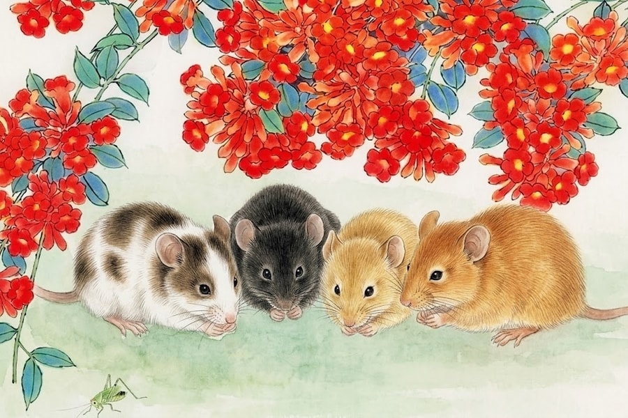 Tử vi 12 con giáp ngày 26/3: Tuổi Tý đón tài lộc bất ngờ, tuổi Dậu công việc hanh thông