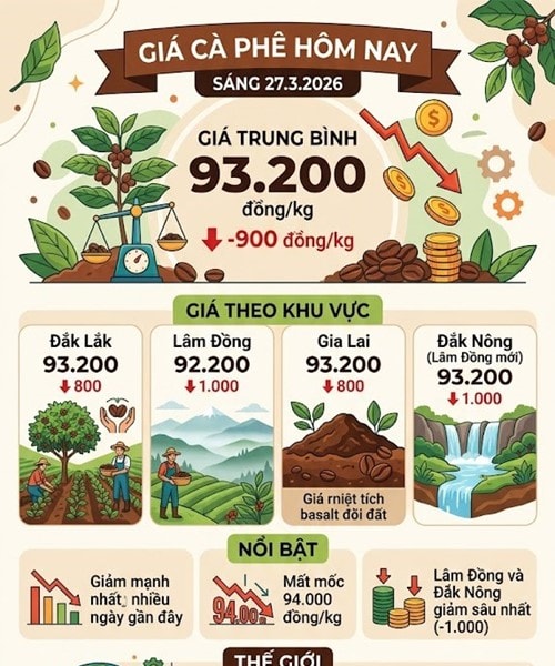 Giá cà phê hôm nay 27/3 giảm mạnh 1.000 đồng/kg, thị trường thế giới lao dốc do áp lực từ Brazil