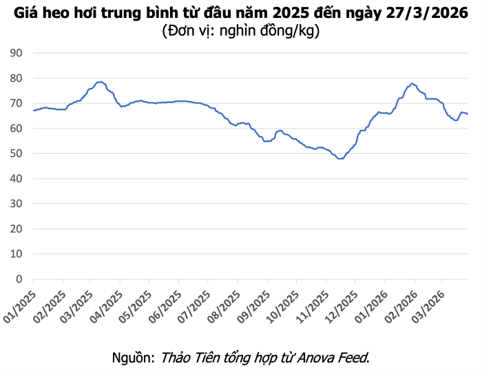Giá heo hơi hôm nay 27/3: Hai miền Bắc và Trung giảm nhẹ, miền Nam cao nhất 69.000 đồng/kg