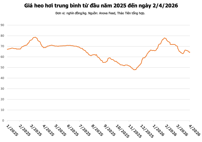 Giá heo hơi ngày 2/4: Miền Bắc tăng thêm 2.000 đồng, cao nhất đạt 68.000 đồng/kg