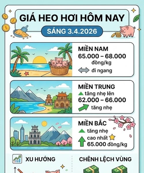 Giá heo hơi hôm nay 3/4: Miền Bắc và miền Trung phục hồi, cao nhất 68.000 đồng/kg