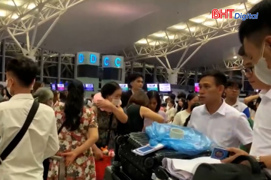 Lao động Việt sang Hàn Quốc làm thời vụ buộc phải tham gia bảo hiểm tai nạn