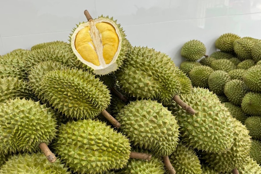 Giá sầu riêng hôm nay 9/4/2026: Thị trường đi ngang