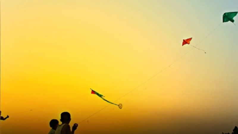 Podcast tản văn: Khi hè vừa chạm ngõ