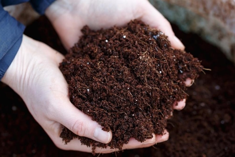 Giá phân bón hôm nay 15/4/2026: Bảng giá 12 loại phân bón tại thị trường trong nước