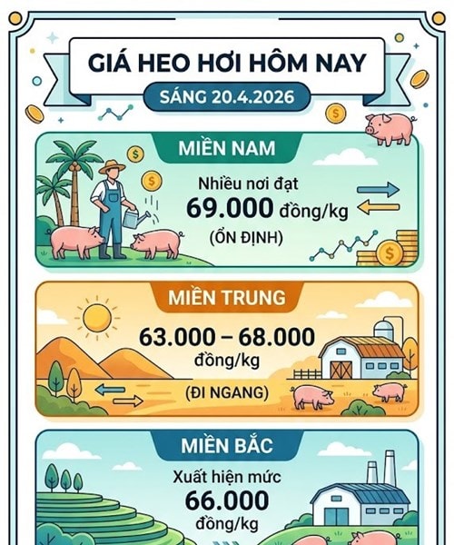 Giá heo hơi ngày 20/4: Miền Nam neo ở mức 69.000 đồng/kg, miền Bắc xuất hiện điểm tăng