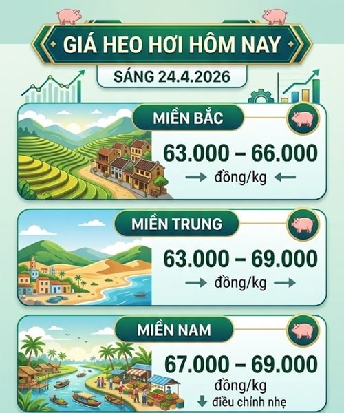 Giá heo hơi hôm nay 24/4: Miền Nam biến động cục bộ, mức cao nhất đạt 69.000 đồng/kg
