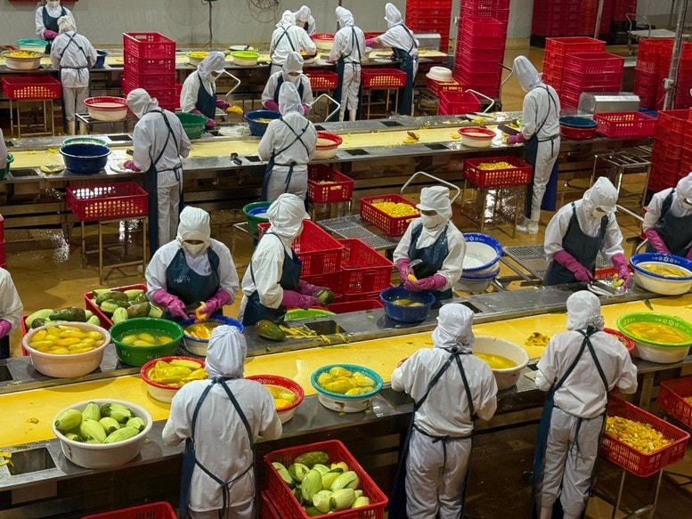 Nông nghiệp Việt Nam quý I/2026 tăng trưởng 3,58% và áp lực chuyển đổi giá trị xuất khẩu