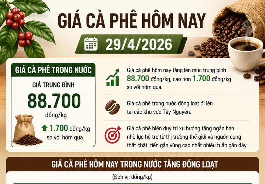 Giá cà phê hôm nay 29/4/2026 tăng 1700 đồng/kg so với hôm qua.