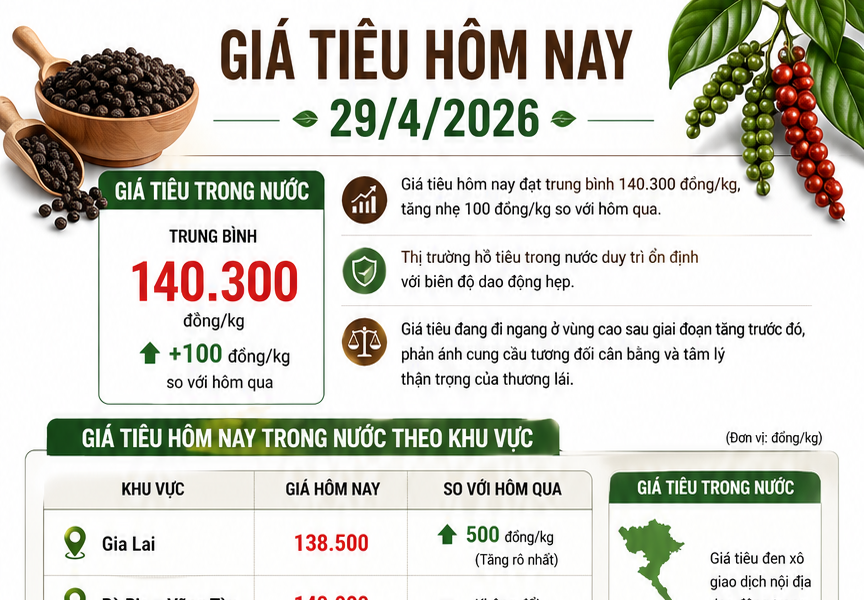 Giá tiêu hôm nay 29/4/2026: Tăng 500 đồng tại Gia Lai