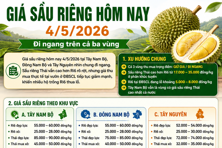 Giá sầu riêng hôm nay 4/5/2026: Bảng giá sầu riêng Ri6, sầu Thái tại Tây Nguyên, Đông Nam Bộ, BĐSCL