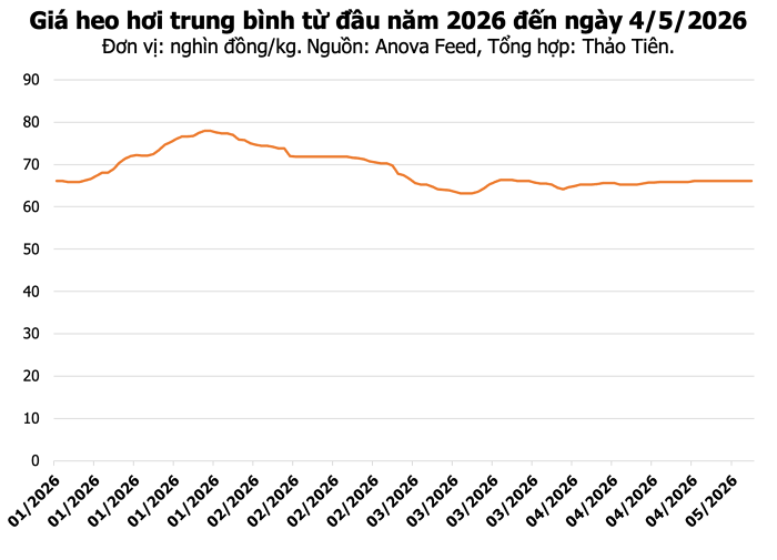 Giá heo hơi hôm nay 4/5: Đồng Nai tăng lên 70.000 đồng/kg