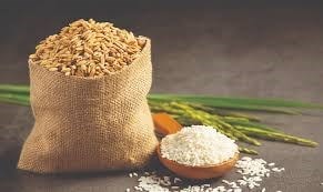Giá gạo nguyên liệu xuất khẩu tăng đến 400 đồng/kg tại Đồng bằng sông Cửu Long