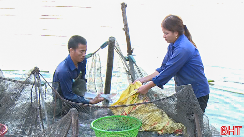 Nông dân Can Lộc làm giàu từ nuôi trồng thủy sản nước ngọt
