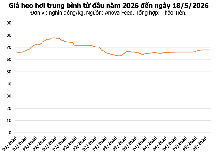 Giá heo hơi hôm nay 18/5: Đồng Nai giảm về mức 70.000 đồng/kg