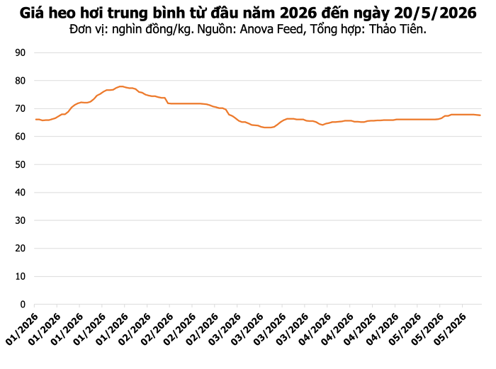 Giá heo hơi hôm nay 20/5: Đồng Nai duy trì mốc 70.000 đồng/kg, Hà Nội và TP.HCM cùng giảm