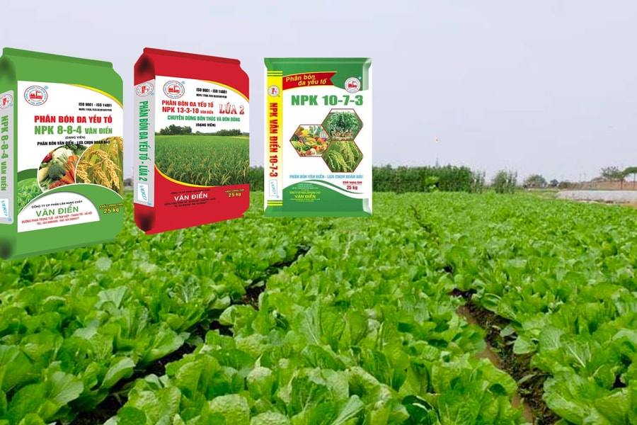 Giá phân bón hôm nay 22/5 ổn định, thị trường dậy sóng vì hàng giả
