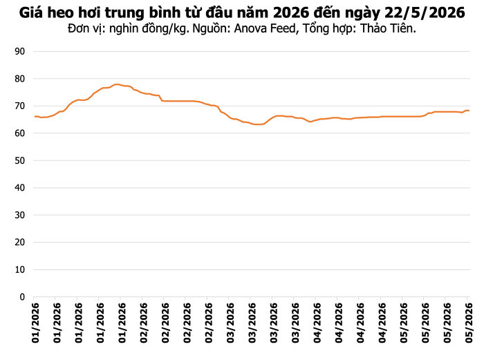 Giá heo hơi hôm nay 22/5: Duy trì mức 70.000 đồng/kg, Gia Lai xây trang trại 140 tỷ đồng