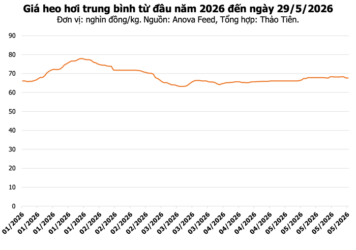 Giá heo hơi ngày 29/5: Miền Bắc giảm nhẹ, toàn quốc dao động 67.000 - 68.000 đồng/kg