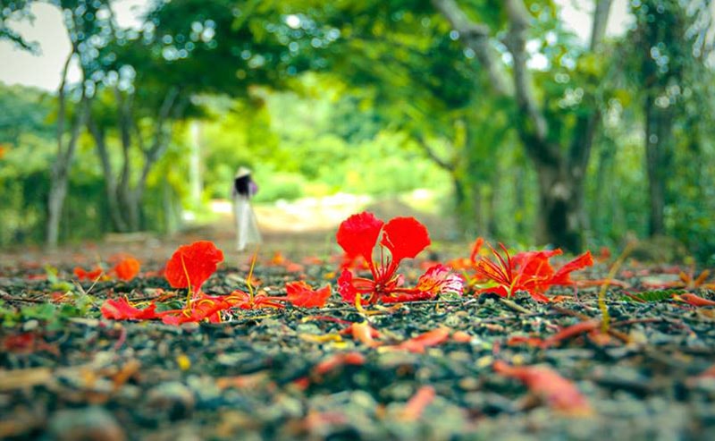 Văn nghệ tổng hợp: Những miền thương nhớ