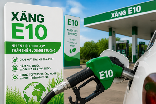 Việt Nam triển khai xăng E10 từ 01/06/2026: Bước tiến chiến lược hướng tới Net Zero