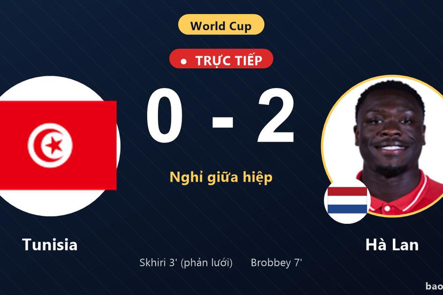 Trực tiếp Tunisia vs Hà Lan: Hết hiệp 1, Hà Lan dẫn 2-0