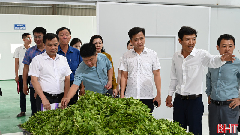 Khi nông sản địa phương được "nâng hạng" bằng công nghệ