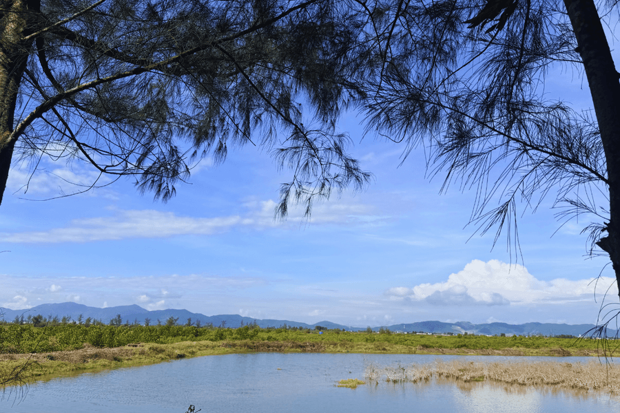 Một ngày sống chậm giữa rừng đước Thiên Cầm