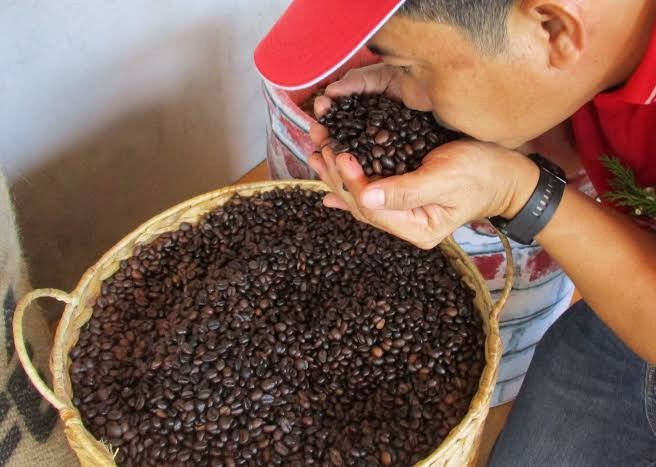 Giá cà phê hôm nay 16/7/2026: Nội địa tiến sát 100.000 đồng/kg, robusta tăng tới 64 USD/tấn
