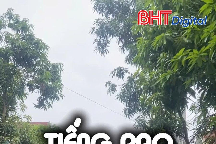 Tiếng rao- âm thanh bình yên "chạm" từng con phố