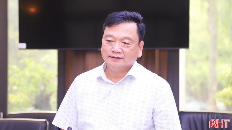 Hà Tĩnh thúc đẩy phát triển bền vững cây dó bầu