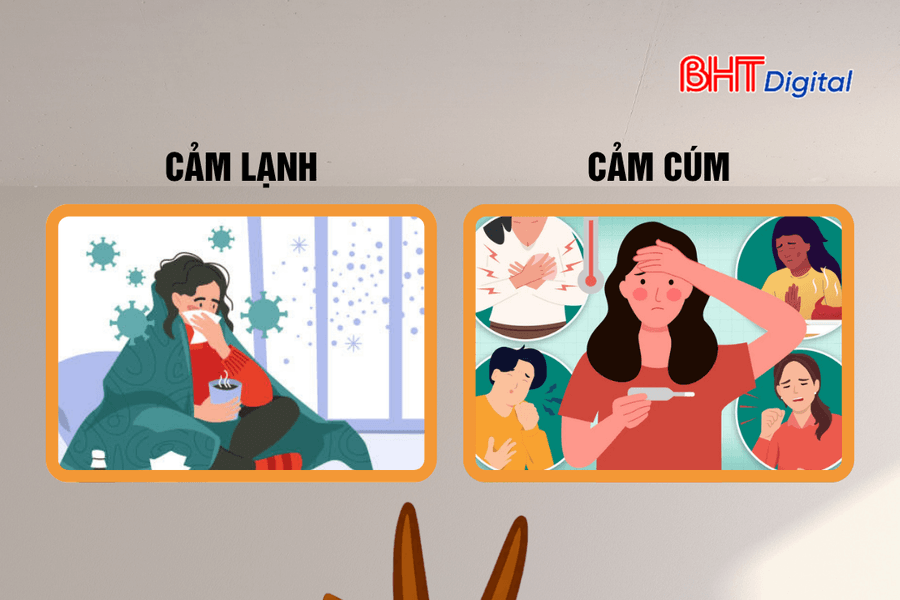 Phân biệt cảm cúm với cảm lạnh