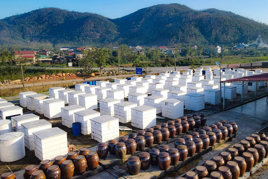 Vì sao Hà Tĩnh cần truy xuất nguồn gốc để nâng tầm nông sản?